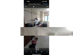 Blk 139 Tampines Street 11 (Tampines), HDB 3 Rooms #612887561